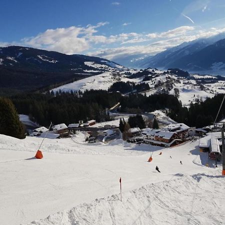 Panorama Chalet Mittersill Kültér fotó